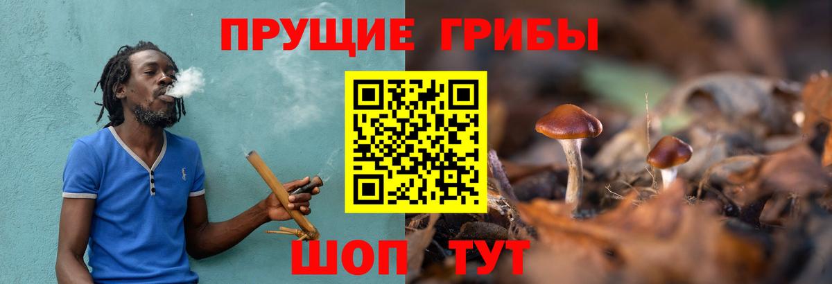 Дзержинский  Псилоцибиновые грибы Magic Shrooms  Галлюциногенные грибы GOLDEN TEACHER  Вход с VPN 